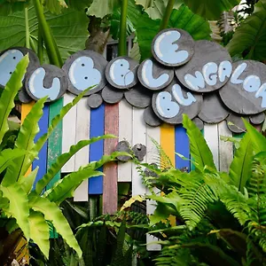 Bubble Thaïlande